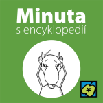 Obrázek epizody Býk