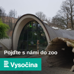 Obrázek epizody V jihlavské zoo samce kudlanek před samičkami při páření chrání, k zakousnutí nabízejí sarančata