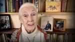 Obrázek epizody Every day you live, you impact the planet | Jane Goodall