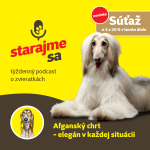 Obrázek epizody Psy: Afganský chrt - elegán v každej situácii