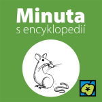 Obrázek epizody Počítačová myš