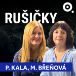 Obrázek epizody RUŠIČKY: Stát ušetří miliardy díky neziskovkám. Proč jim Češi nevěří?