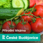 Obrázek epizody Objevil se ve vašem obchodě mangold nebo pak choi? Sáhněte po něm