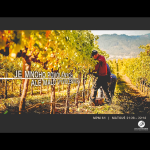 Obrázek epizody Mesiáš podle Matouše 61 - Je mnoho povolaných, ale málo vyvolených - Bohuslav Wojnar (22.6.2014)