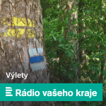 Obrázek epizody Zámecký park ve Světlé nad Sázavou je vánočně osvětlený. Po rybníku plují svítící labutě