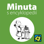 Obrázek epizody Pyžamo