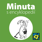 Obrázek epizody Velikonoce