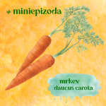 Obrázek epizody #miniepizoda Mrkev