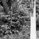 Obrázek epizody Josef Pleskot: Černý Kristus...