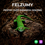 Obrázek epizody 67: Pestrý svět denních gekonů | Felzumy