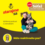 Obrázek epizody Psy: Máte reaktívneho psa?