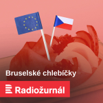 Obrázek epizody Landovský: EU a NATO tvoří skvělý tandem. Evropská armáda není potřeba