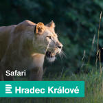 Obrázek epizody Návrat k Nepraktovi. Safari Park Dvůr Králové představil knihu o králi českého kresleného humoru