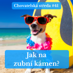 Obrázek epizody 🪱 Pozor na SRDEČNÍ ČERVY! 🪱 | Chovatelská středa #41