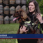 Obrázek epizody Pes kontroluje whisky (zdroj: CNN Prima NEWS)