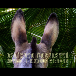 Obrázek epizody Mesiáš podle Matouše 59 - Oslíkovo poselství - Bohuslav Wojnar (18.5.2014)