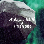 Obrázek epizody Rainy Walk in the Woods: Relaxing Soundscape