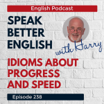 Obrázek epizody Speak Better English with Harry | Episode 238