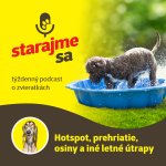 Obrázek epizody Psy: Hotspot, prehriatie, osiny a iné letné útrapy