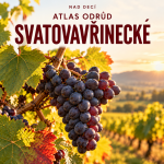 Obrázek epizody Nad Decí 54: Atlas odrůd - Svatovavřinecké