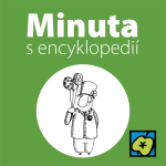 Obrázek epizody Svatý Patrik