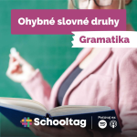 Obrázek epizody #Gramatika - Ohybné slovné druhy