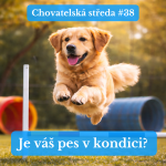 Obrázek epizody 🐕 Je váš PES v KONDICI? 🐕 | Chovatelská středa #38
