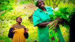 Obrázek epizody The tree-growing movement restoring Africa's vital landscapes | Wanjira Mathai