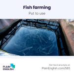 Obrázek epizody Fish farming moves to dry land | Learn English expression 'put to use'