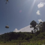 Obrázek epizody Přesun orangutanů vrtulníkem