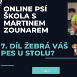 Obrázek epizody #7 Pes žebrá u stolu