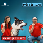 Obrázek epizody #42 Pořád štěká? Co s tím? - Online psí škola s Martinem Zounarem