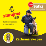 Obrázek epizody Psy: Záchranárske psy