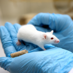 Obrázek epizody Is it the beginning of the end for animal testing?