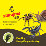 Obrázek epizody Teraristika: Pavúky, škorpióny a slimáky