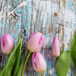 Obrázek epizody HOROSKOPY: Ryby, hvězdy jsou vám nakloněny, vaše oblíbenost stoupá. Nezneužívejte