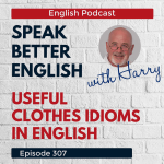 Obrázek epizody Speak Better English with Harry | Episode 307