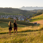 Obrázek epizody Krása Malých Karpát