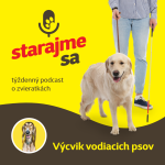 Obrázek epizody Psy: Výcvik vodiacich psov