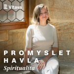 Obrázek epizody Promyslet Havla: 6. díl: Spiritualita: Alice Koubová a Martin C. Putna o absolutním horizontu Václava Havla
