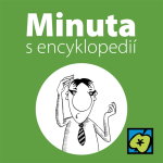 Obrázek epizody Plešatost