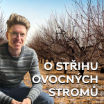 Obrázek epizody O střihu ovocných stromů