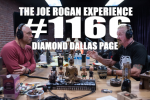 Obrázek epizody #1166 - Diamond Dallas Page