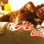 Obrázek epizody Instro-achci