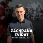 Obrázek epizody Od koček až po koně, aneb postupy při záchraně zvířat 🐈