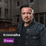 Obrázek epizody Vrah s mačetou. 1. oddělení pražské kriminálky proti osmkrát trestanému recidivistovi