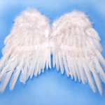 Obrázek epizody Mít Křídla