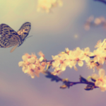 Obrázek epizody HOROSKOPY: Panny, Luna je ve vašem znamení, výrazně stoupne vaše sebevědomí