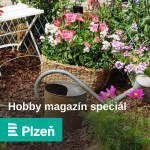 Obrázek epizody Hobby magazín speciál: psí zlozvyky, kočičí rýma nebo šalvěj lékařská