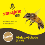 Obrázek epizody Špeciál: Včela z východu 2.diel